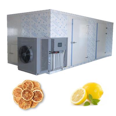 China ISO Commercial Hot Fruit Food Cabinet Dryer Mango Lemon Dehydrator for sale
