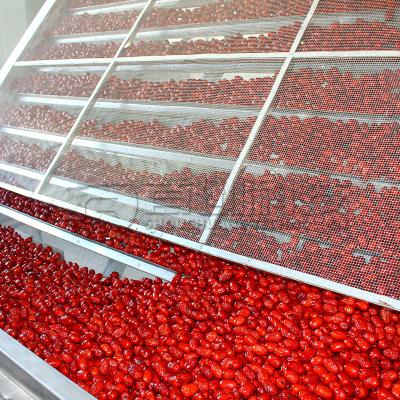 China Seca de plantas y frutas bomba de calor de banda continua secador de fecha uva uva sistema de secado de pasas en venta