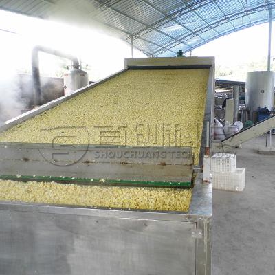 China Shouke Flower Herb Continuous Belt Dryer Lily Sweet Chamomile Rose Drying System for sale