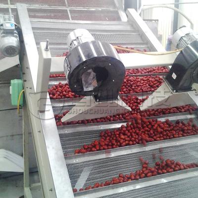 China Dried Jujube Apricot Continuous Belt Dryer Fruit Drying Processing System for sale