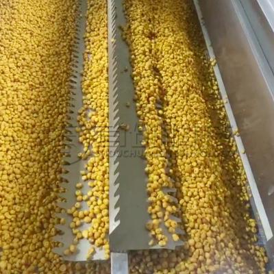 China Seca continua de cacahuetes y nueces de cola cinturón secador de nueces y frijoles máquina deshidratadora en venta