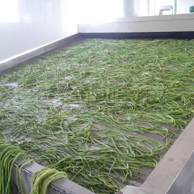 China Máquina automática de secado de hortalizas de cinturón continuo en venta