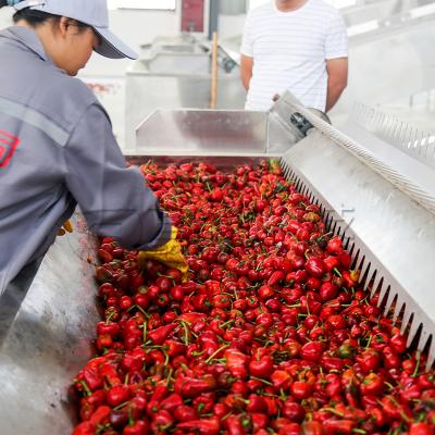 China Efficient Hot Pepper Drying System with Automatic Chili Dryer Machine Hot Air Circulation for sale