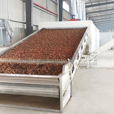 China Large Output Continous Belt Dryer Pecan Walnut Drying Cabinet for sale