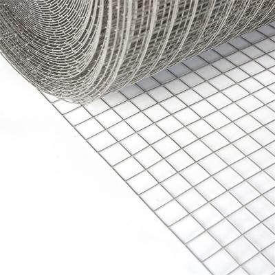 China Customizable 4ftx50ft Galvanized Welded Wire Mesh Chicken Bird Cage Wire Mesh for sale