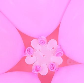 hot sale clear plastic flower shape clip tie for balloon sealing