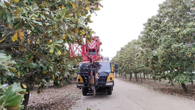 2022 Mobile Crane 50ton Truck-Mounted Telescopic Crane Construction Equipment Truck Crane