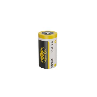 China 3.6V Non Rechargeable Battery for sale