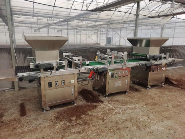 Vegetable Planter Flowers Zk-600-B Zk-Yb330d Zk-Bzj-600 Automatic Plug Tray Seedling Production Line