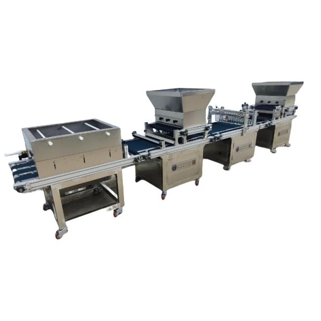 Vegetable Planter Flowers Zk-600-B Zk-Yb330d Zk-Bzj-600 Automatic Plug Tray Seedling Production Line