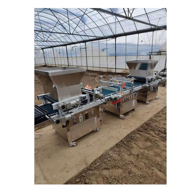 Vegetable Planter Flowers Zk-600-B Zk-Yb330d Zk-Bzj-600 Automatic Plug Tray Seedling Production Line