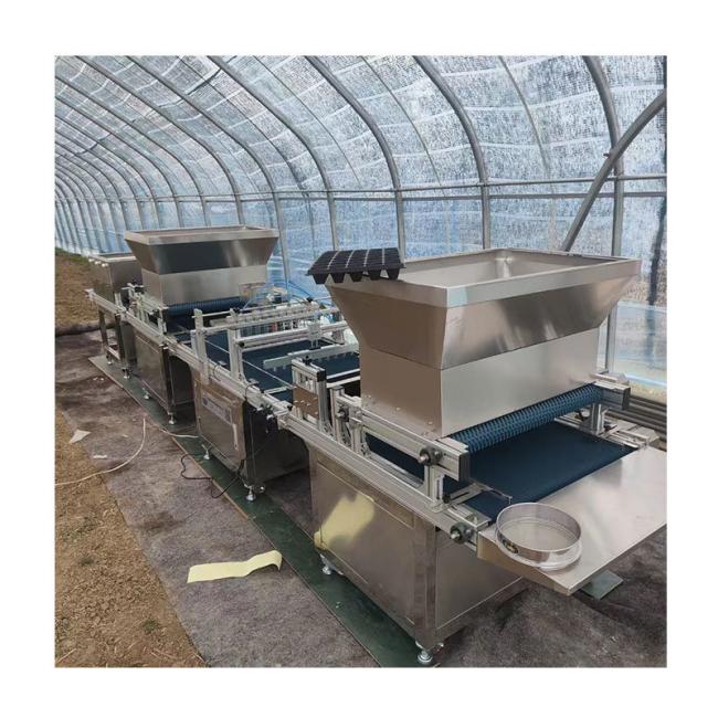 Vegetable Planter Flowers Zk-600-B Zk-Yb330d Zk-Bzj-600 Automatic Plug Tray Seedling Production Line
