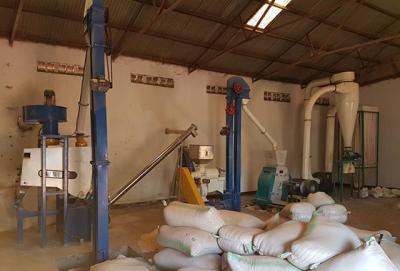 China 24T Maize mill for sale