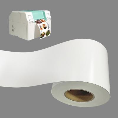 Chine Papier sec de photo de Minilab 240gsm, papier de jet d'encre blanc chaud brillant de 8 pouces à vendre