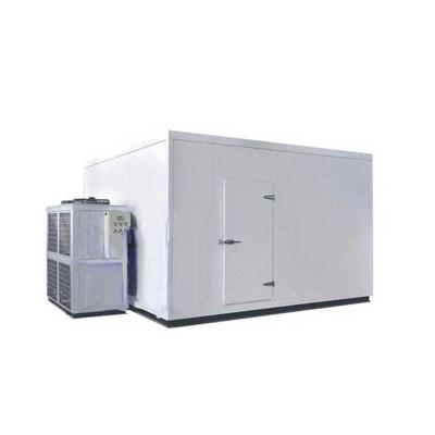 China Customized Cold Storage Freezer Room for Vegetables/Fruits/Meat and Seafood Industrial with Condensing Unit Ce Approved for sale