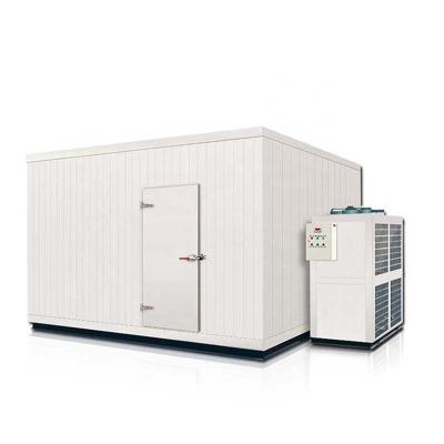 China PU Panel Blast Freezing Insulation Cold Storage Room For Drinks And Live Sea Foods for sale