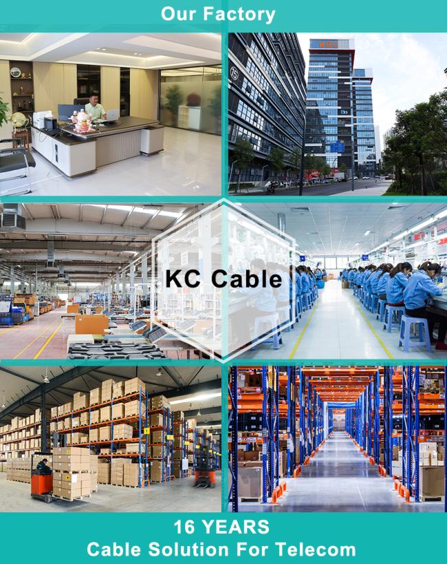 Company Information