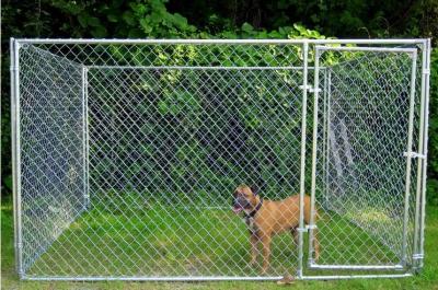 China Galvanizado Heavy Duty Metal Dog Kennel Outdoor 2x2x3M Chain Link Large Dog Run Kennel à venda