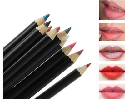 China Private Label Liquid Lip Liner Pen Long Lasting For Make Up L-14CM Size for sale