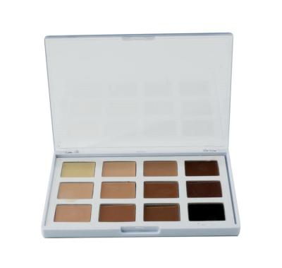 China Private Label Mineral Face Makeup Concealer Palette With Transparent Lid for sale