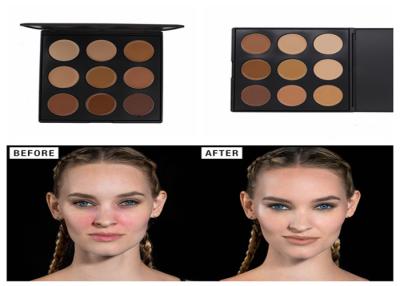 Κίνα Υψηλό πρόσωπο Makeup Concealer καθορισμού για το σκοτεινό δέρμα, προϊόντα Concealer Makeup προς πώληση