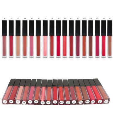 China Cosmetic Logo Long Lasting Lip Gloss 17 Colors Creamy Form 3 Years Shelf Life for sale