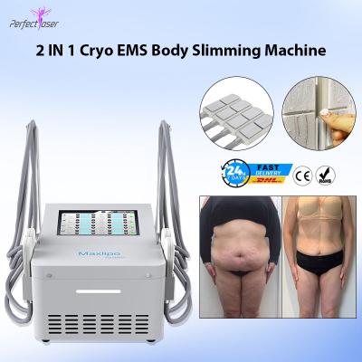 China EMS Coolsculpting Cryolipolysis Machine Cryotherapy Cryo Machine For Fat Freezing for sale