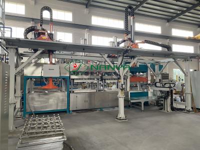 China Vacuum Suction Pulp Plate Making Machine Fully Automatic Pulp Food Tray Making Machine for sale