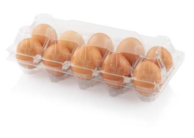 China PET Plastic Sheet Roll Egg Tray PET Plastic Sheet In Rolls 400MM-2440MM for sale