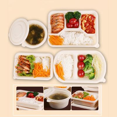 China Compartment PLA Biodegradable Container OEM / ODM 1 / 2 / 3 For Inflight Meal Box for sale