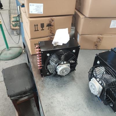 Chine L'air de réfrigération a refroidi la machine interne de rotor de condensateur de chambre froide à vendre
