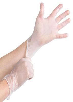 China Clear Vinyl  Disposable Hand Gloves Powder Free With CE FDA ISO Certification for sale
