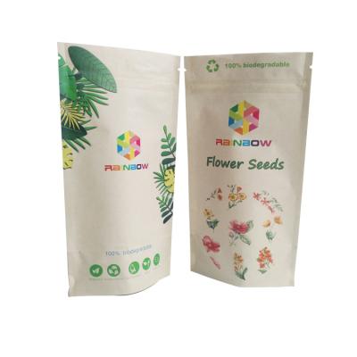 China Compostable Food Kraft Paper Bag Custom Printing 100% Biodegradable Fruit Packaging Bags for sale