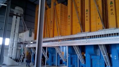 China 100 de grão toneladas de secador do milho fazem à máquina toda a secagem dos sentidos à venda