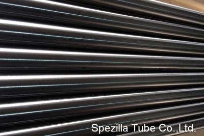 China High Purity Polished 2 stainless steel pipe 20ft Fixed Stainless Steel TP 316L for sale
