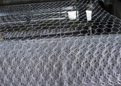 China Hexagonal Wire Netting for sale