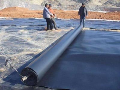 China 0.5mm Impermeable Geomembrane Liner High Density Polyethylene for sale
