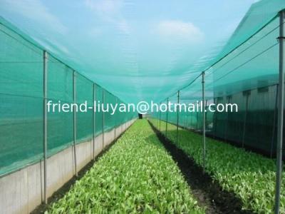 China UV Treated Agriculture Insect Net for sale