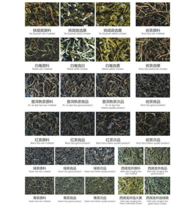 High Capacity High Accuracy Tea Color Sorter Machine Four Layer CCD Tea Color Sorter