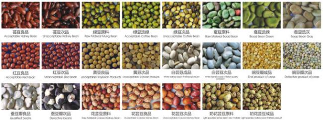 Bean Optical Sorting Machine Intelligent CCD bean color sorter machine