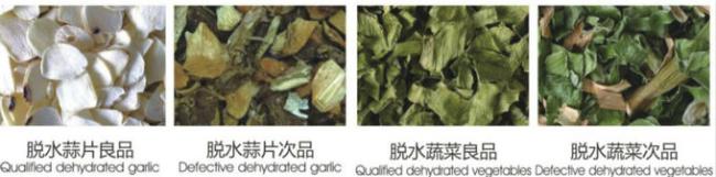 Belt Color Sorter Machine Manufacturer for Dehydrated Vegetables