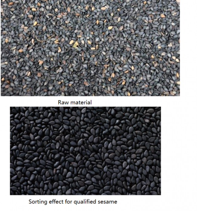 Big Data Automatic Colour Sorting Machine Wear Resistant For Sesame Seeds 0