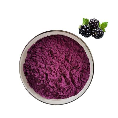 China Natural mulberry powder for skin whitening /mulberry extract powder/mulberry extract powder for sale