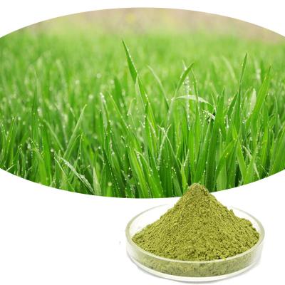China Organic Herbal Extract Barley Grass Juice Powder 1kg/ Bag for sale