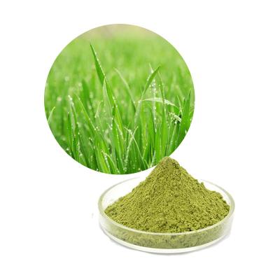 China 100% Pure Barley Grass Extract Powder Anti Fatigue for sale