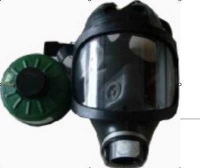 China Best gas mask with protective filter Full-Facepiece respirator Manufacturer  GM01 for sale
