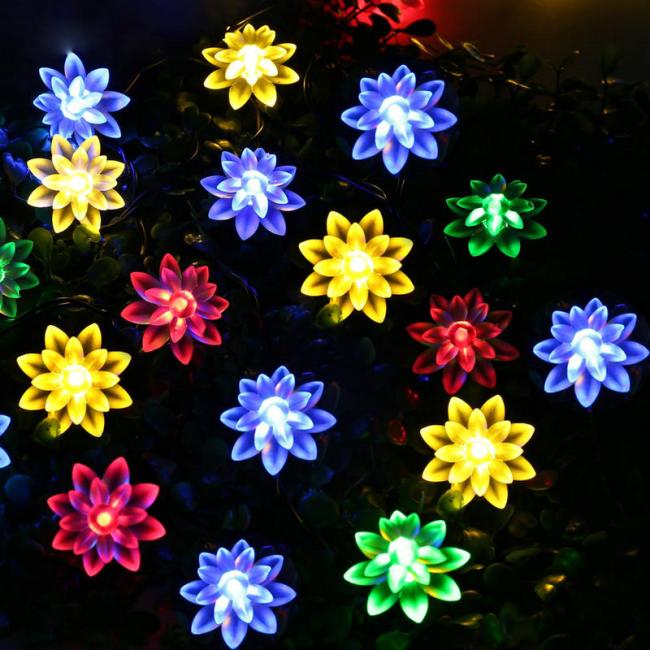 Lotus Solar String Light decorating a garden pathway at night