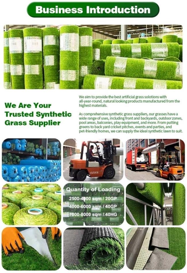 China Bright (Chongqing) Power Machinery Co., Ltd. company profile 5