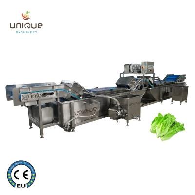China Máquina de lavar vegetais de folhas de cebola e salsa de aço inoxidável 304 à venda