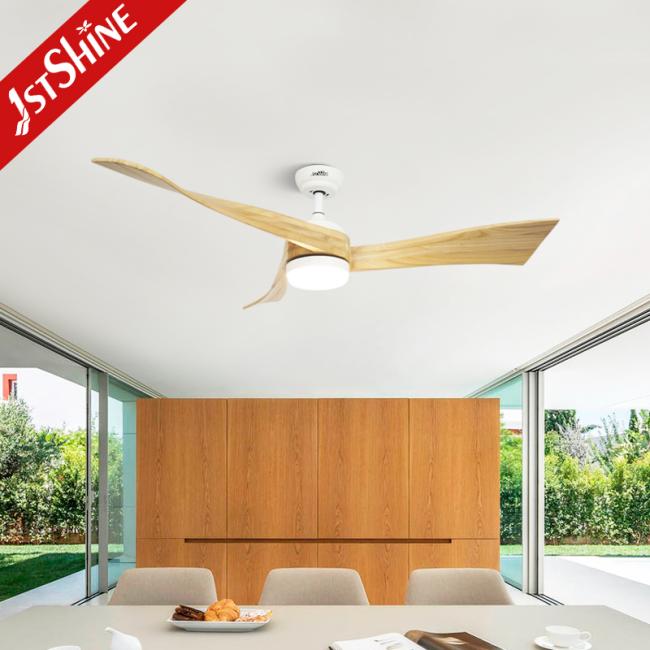 ceiling fan ceiling fan